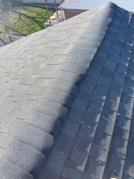 Shaw Roofing