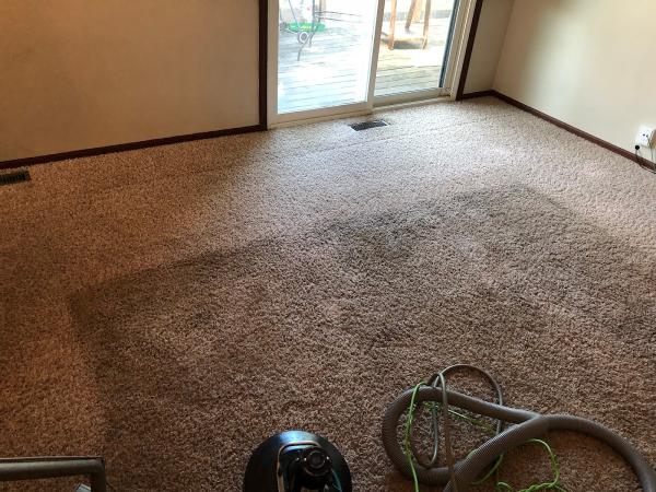 Mr. Picky Carpet Cleaning