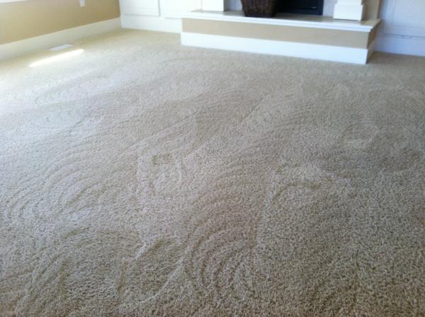 Mr. Picky Carpet Cleaning