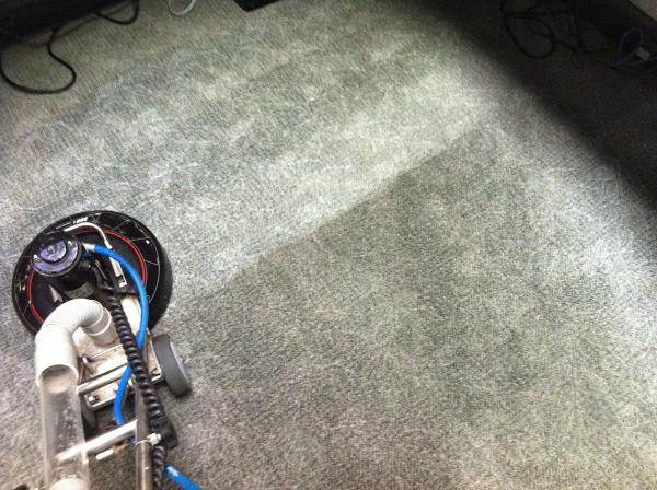 Mr. Picky Carpet Cleaning