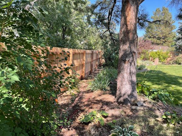 Colorado Fence and Deck