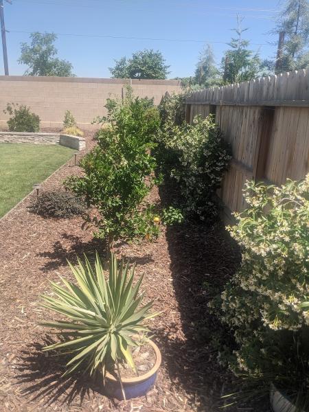 Quality Landscape Construction