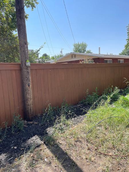 Alpine Fence and Deck