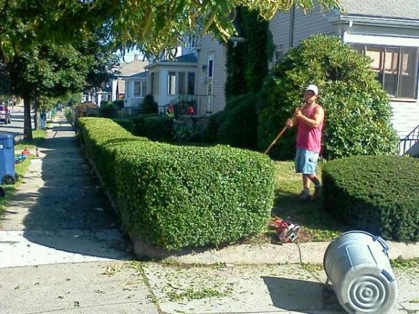Domenic Guerra Landscaping