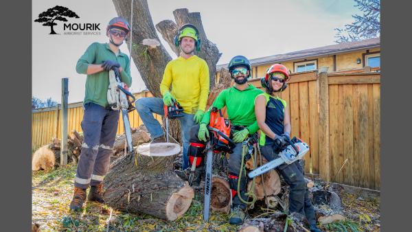 Mourik Arborist Services
