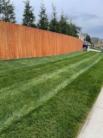 Lawnwise