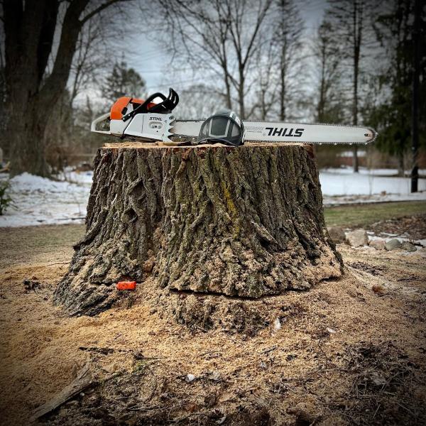 Sutter's Tree Service