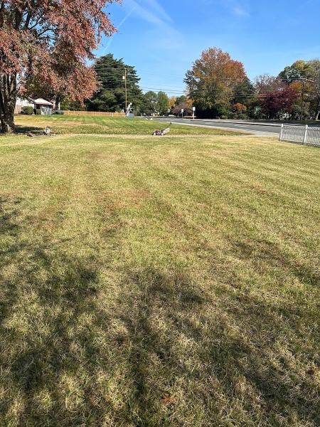 Lawn Popper's