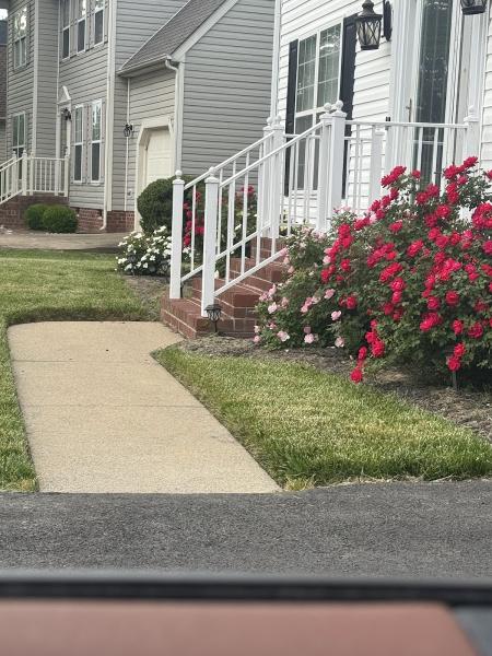 Lawn Popper's