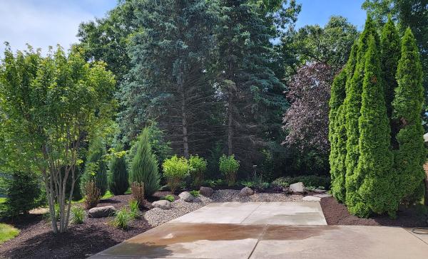 Munro Landscaping