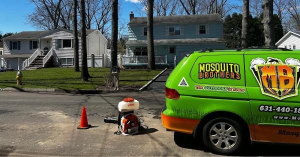 Mosquito Brothers