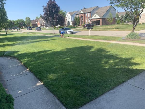 Blueline Irrigation
