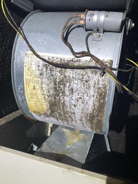 Global Mold Solutions LLC