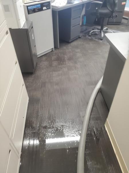 1st Class Carpet Cleaning & Restoration Services