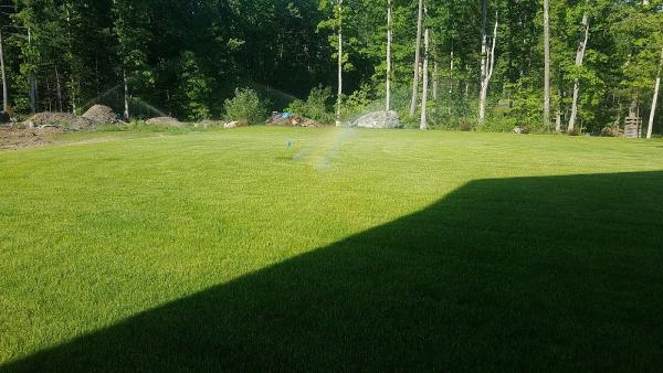 Sprinkler Guy Irrigation Co