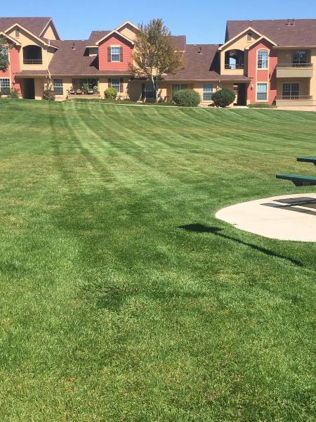 All Purpose Landscaping