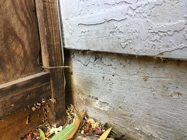 Delta Pest Control