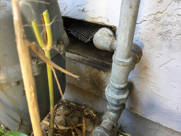 Delta Pest Control
