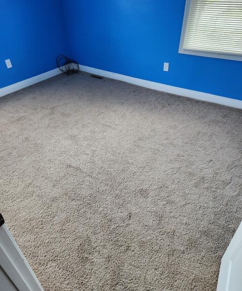 Buckeye Carpet Care Inc