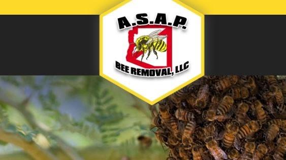 A.s.a.p. Bee Removal