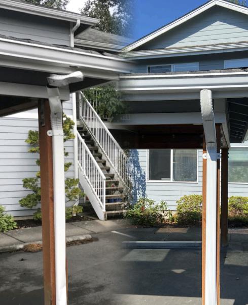 Bellingham Roof & Gutter Cleaning
