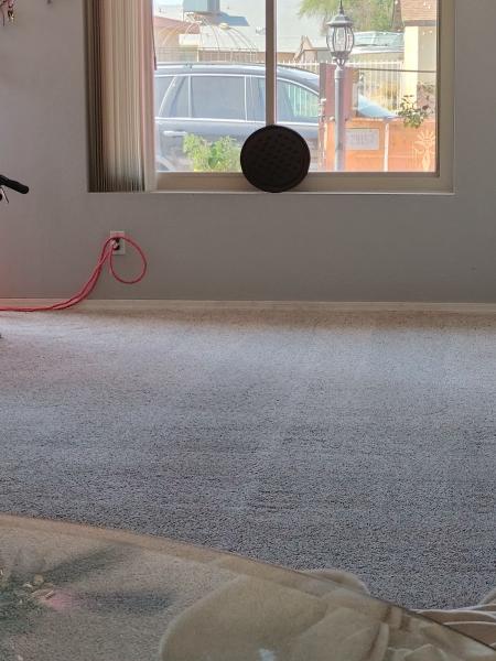 Pink's Carpet Cleaning