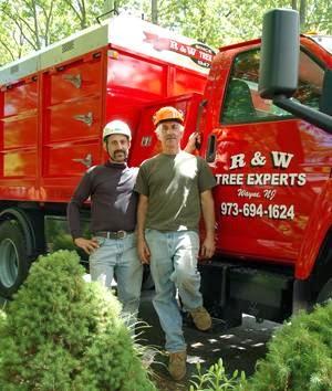 R & W Tree Experts