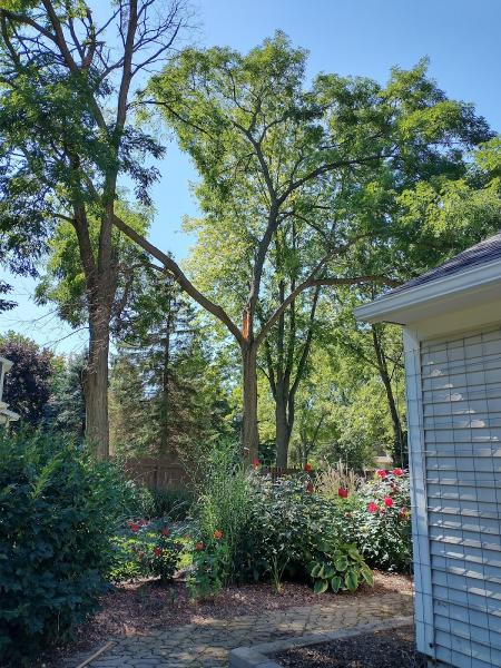 Gray's Tree Service