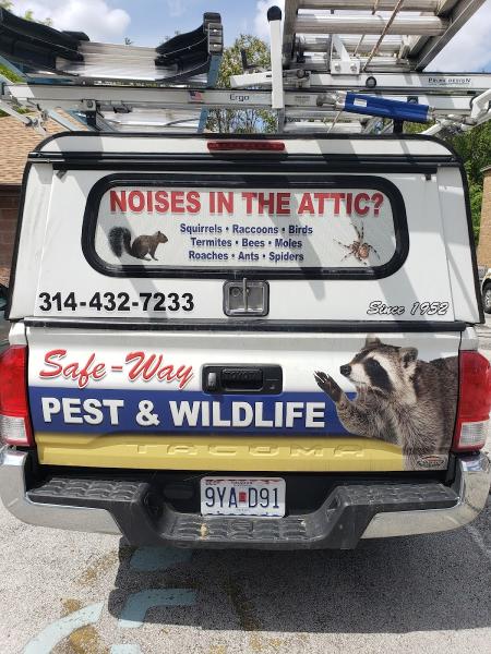 Safe-Way Pest & Wildlife