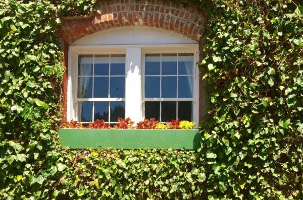 Jeff Likes Clean Windows and Gutters