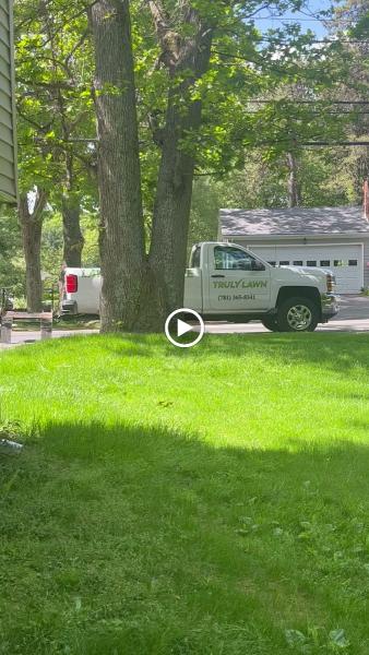 Truly Lawn