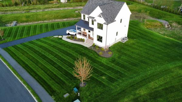 Truly Lawn