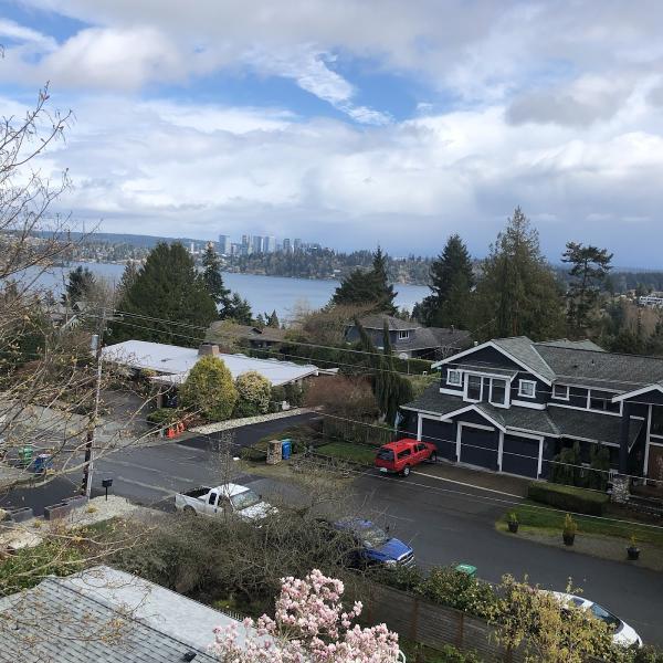 Sound Tree Care LLC
