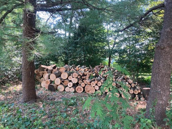Good Tree Service Co.