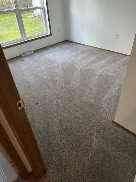 New England Carpet Cleaning