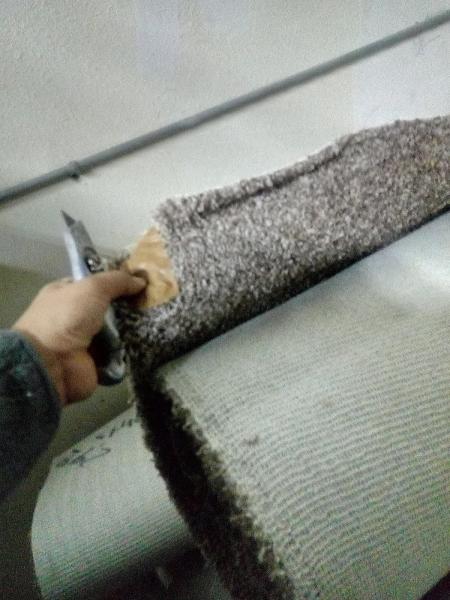 El Gallo Carpet