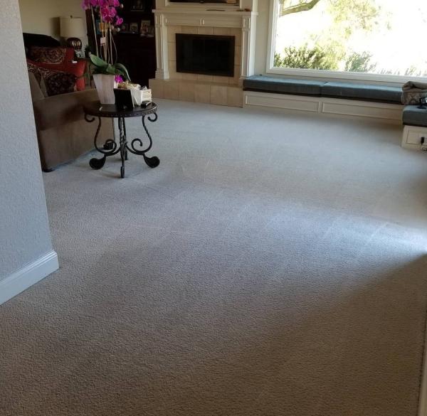 Brodine Steam Cleaning