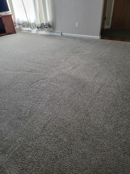 Accurate Carpet Cleaning Services LLC