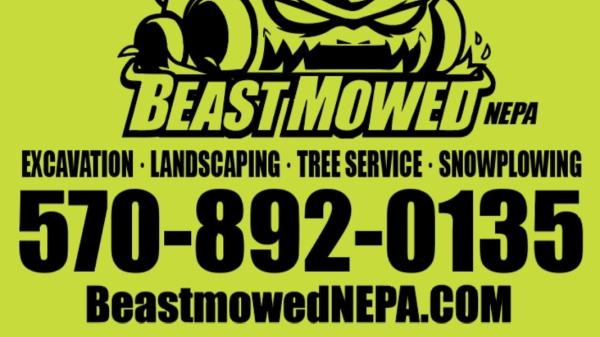 Beast Mowed Nepa Landscaping