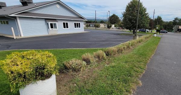 Beast Mowed Nepa Landscaping