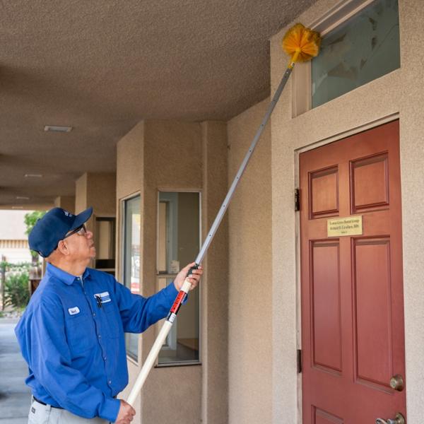 American Pest Control