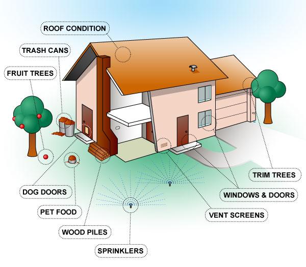 Advanced Pest Related Services Inc