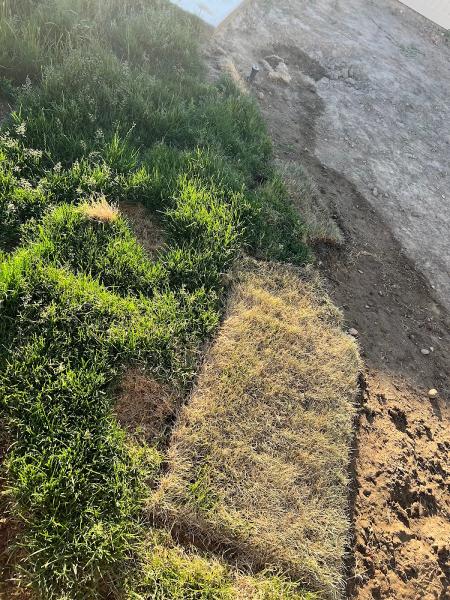 Lawn Ninja Landscape and Lawncare LLC