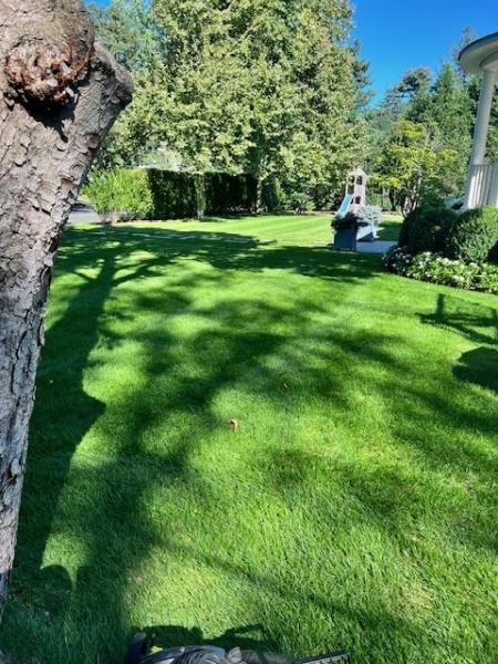 DRK Landscapes LLC