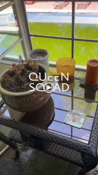 Queen Squad PRO