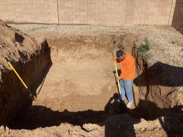 Yahweh Tree and Landscape Llc