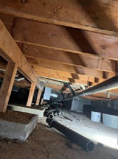 Nexus New York Plumber & Drain
