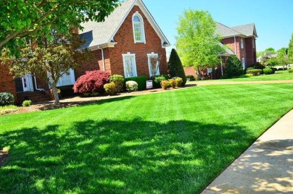 Proscape Lawn Maintenence