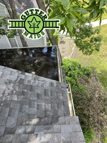 Gutter Maids