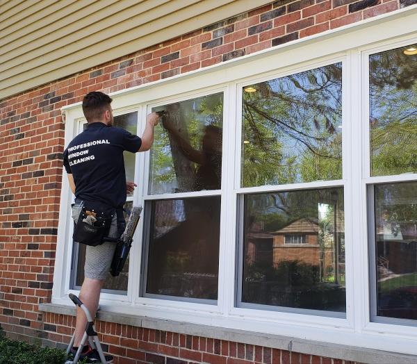 Elite Window Cleaning